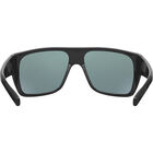 FALCO, Black Shiny-TNS, hi-res image number null